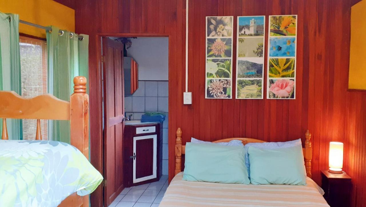 Montana Linda Guest House Orosí Εξωτερικό φωτογραφία