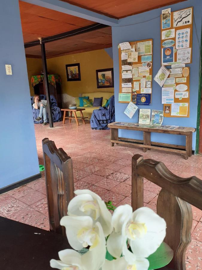 Montana Linda Guest House Orosí Εξωτερικό φωτογραφία