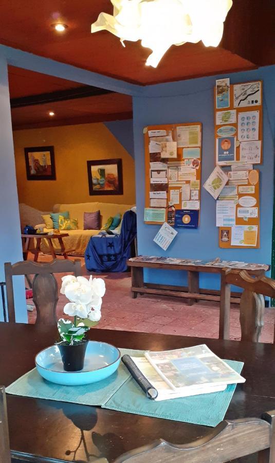Montana Linda Guest House Orosí Εξωτερικό φωτογραφία