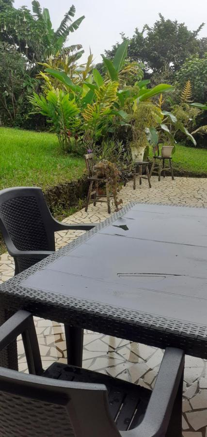 Montana Linda Guest House Orosí Εξωτερικό φωτογραφία