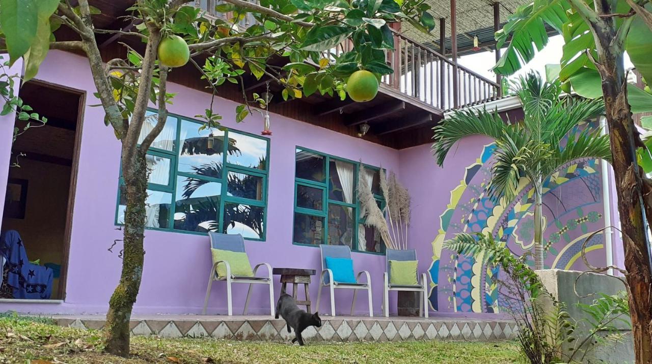 Montana Linda Guest House Orosí Εξωτερικό φωτογραφία