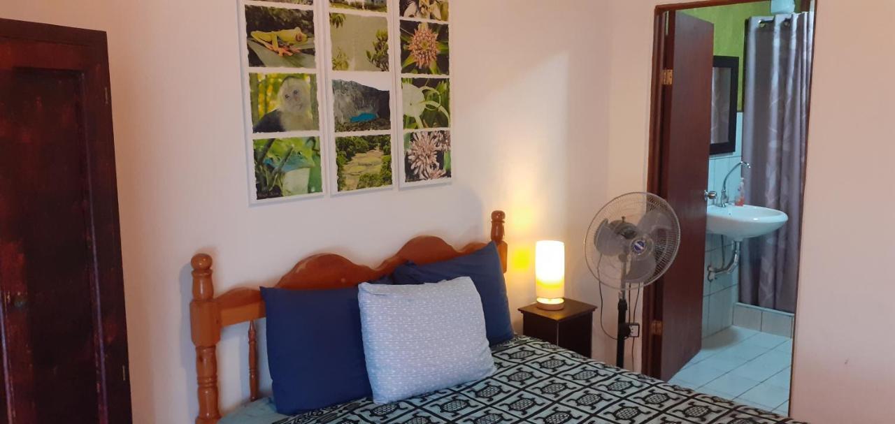 Montana Linda Guest House Orosí Εξωτερικό φωτογραφία
